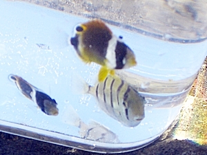 20130921iso