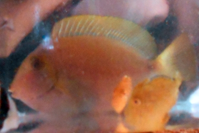 jZJnM