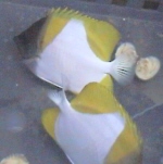 JX~`E`EEIFvNgH